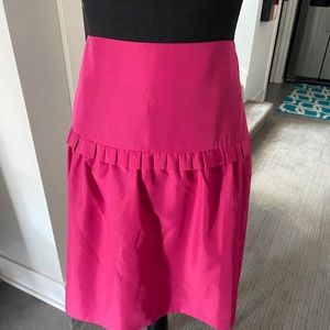 Ann Taylor Loft Skirt